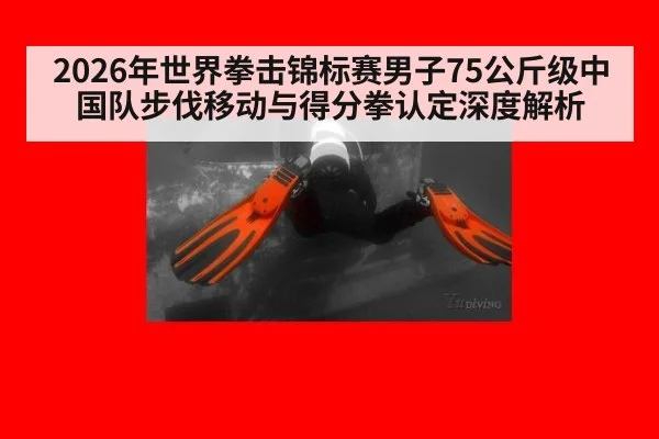 2026年世界拳击锦标赛男子75公斤级中国队步伐移动与得分拳认定深度解析（jiuyou game）